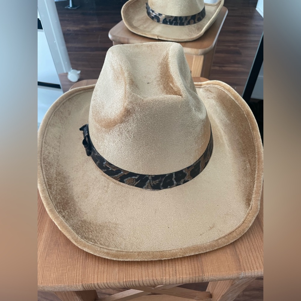 Cowboy hat